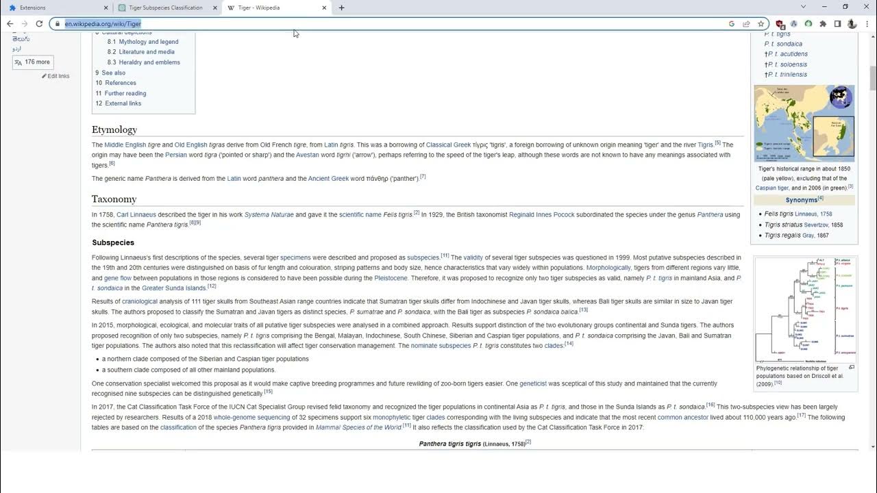 Write assist chat gpt chrome extension youtube