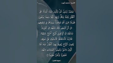 سورة الفتح {اخر آية} بصوت الشيخ محمد أيوب ❤