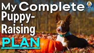 Training My New Puppy, What He Knows So Far: Susan Garrett's Plan And Puppy Schedule #243 #podcast