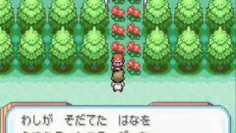 改造ポケモン作り方 改造ポケモン作り方