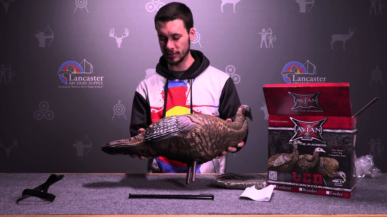 Zink AvianX LCD Breeder Hen Turkey Decoy Review at LancasterArchery
