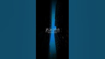 تلاوة هادئة تريح الأعصاب😴🎧 | القاريء ماهر المعيقلي- سورة المؤمنون ✨🌥️" #القرآن_الكريم #القرآن #islam