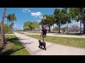 JackJack | 10 mo Standard Schnauzer | 100% Off Leash Obedience の動画、YouTube動画。