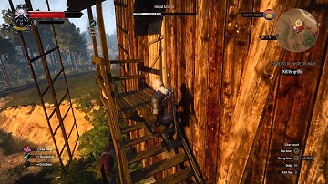 The Witcher 3 - Griffin and Door Glitches