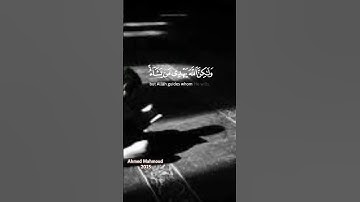 تلاوة رائعة " إنك لا تهدي من أحببت " #الشيخ_ياسر_الدوسري #قران_كريم #تلاوة_خاشعة