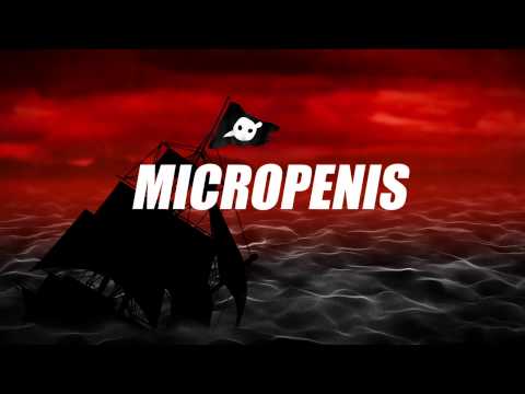 'Micropenis', taken from the new album 'Abandon Ship' OUT NOW http://smarturl.it/AbandonShipiTunes http://knifeparty.com http://twitter.com/knifepartyinc htt...