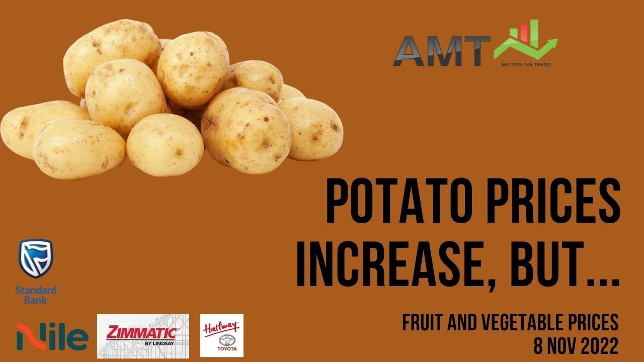 Potato and Tomato Prices increase | 8 Nov 2022 | AMT Fresh Produce ...