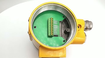 Online Density Meter For Liquids