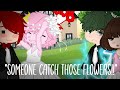 "Someone catch those Flowers!!"||Bnha+Meme||Future Bnha||BKDK💥💚||Enjoy!(づ￣ ³￣)づ