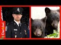 Polizist weigert sich, Babybären zu erlegen und wird zu Unrecht bestraft