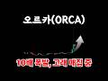 오르카(ORCA), 고래+세력이 주목하는 이유와 개미가 선택할 수 있는 최선의 투자방법을 알아봅니다.