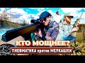 Что купить? PCP винтовка или 22 LR.  Пневматика против Мелкашки. Тест.