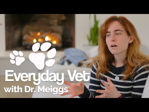 Video: Visoko Vsebnost Beljakovin V Urinu, Mačkah In Diabetesu, Mačke Struvita, Težave Z Diabetesom Mačke, Diabetes Mellitus Pri Mačkah, Hiperadrenokortikizem Pri Mačkah