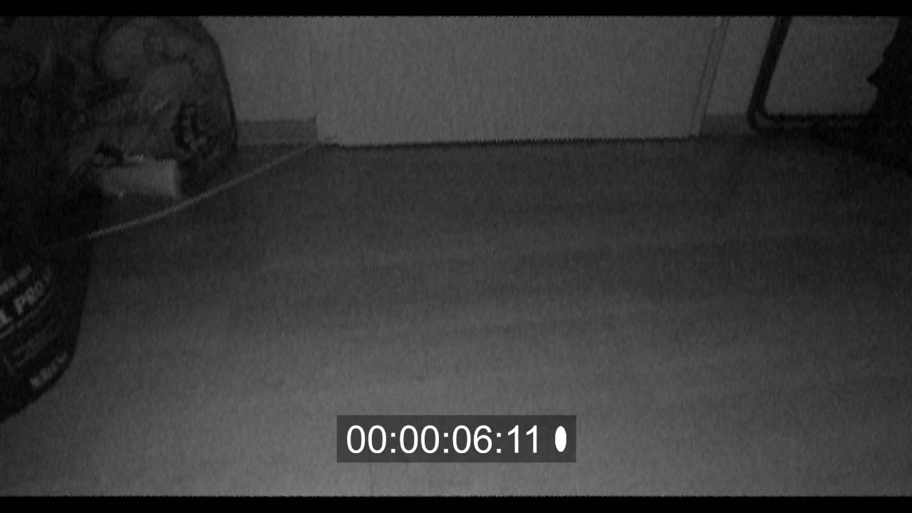 Movie Park Germany - Campout [Wildcard Trailer]