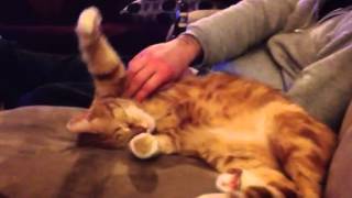 Kurtz's armpit rub screenshot 4