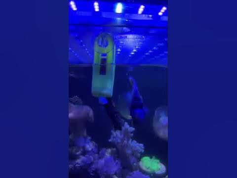 www.youtube.com