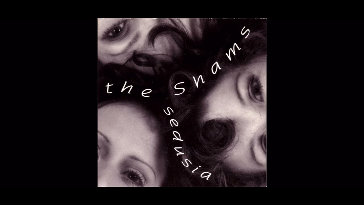 The Shams - Voices in My Head