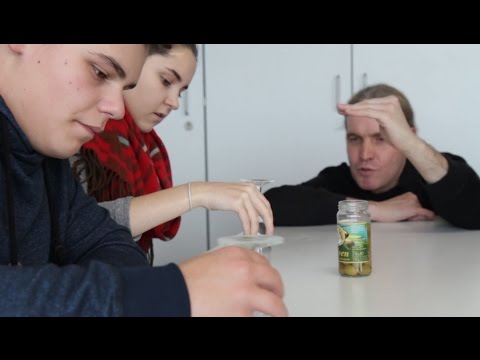 Video: DIY stenhegn. Stenhegn: pris