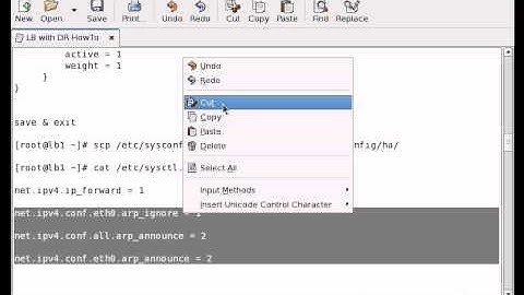 Linux Virtual Server (Active & Backup Router) Configurations Load Balancer UrduCBT