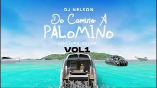 DJ Nelson x Alejandro Armes x Dalex - En La Disco Revela [ Audio]