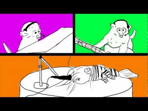 LaDiDa Music Videos!