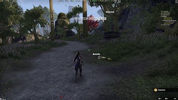 ESO - Weird walking animation