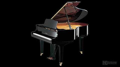 Physical Modeling 101: Physical Modeling Explored - Sampling vs Modeling