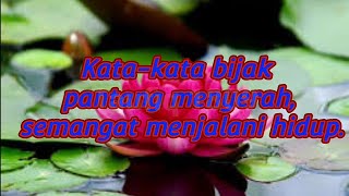 KATA-KATA BIJAK PANTANG MENYERAH SEMANGAT MENJALANI HIDUP