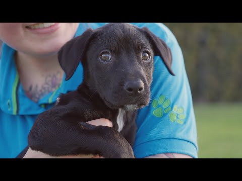 Watch us on TV 📺 For the Love Of Pets