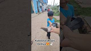 Pakda Hua Kabootar Wapis Dediya😍 #pigeon #shorts 🕊
