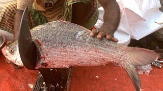 I never seen ll giant Katla fish cutting live in Fishmarket ll how to fish cutting