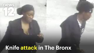 Man critically injured in Bronx stabbing attack; 2 suspects on the run