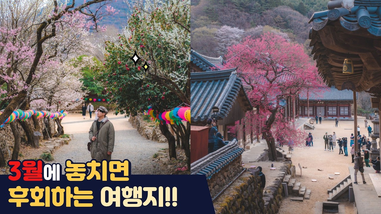 3월에 놓치면 후회하는 여행지