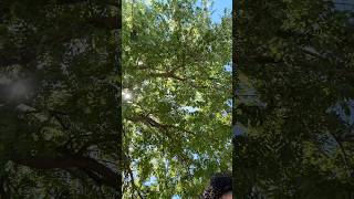 What are your top 3 anime shows of all time? #questionoftheday #anime #shows #top3 #favorite