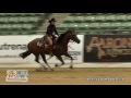 Travelin Miss Jonez ridden by Sarah Dawson 2016 NRCHA SBF Rein Work   Open Prelims