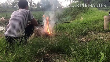 Cá lóc nướng rơm đọc đáo của anh em yotobe nghèo.Ngon bá cháy