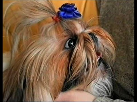 как начать бизнес, с чего начать продавать как начать свой бизнес с нуля с чего начать