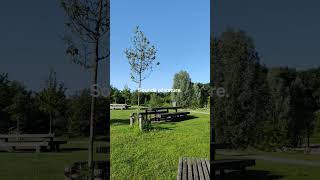 #nature #naturelovers #natural #belgium #belgië #bélgica #antwerpen