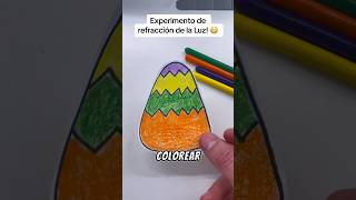 Light Refraction Experiment | It'll leave you 😳 #experiment #trick #optics