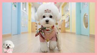 우리 엄마 | 칭찬 양파, 비난 양파 2편