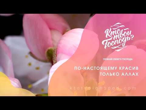 Обложка видео: По-настоящему красив только Аллах