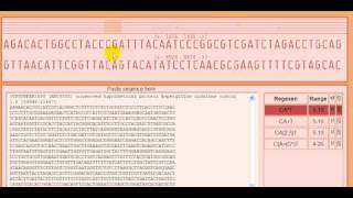 Yantra: A pattern matcher for DNA and Amino acid sequences.