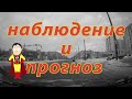 Наблюдение и прогноз от капитана очевидность. Автоинструктор СПб.