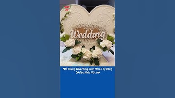 Mất Thùng Tiền Mừng Cưới Hơn 2 Tỷ Đồng, Cô Dâu Khóc Nức Nở