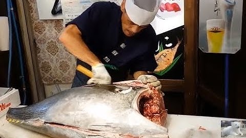 Xem siêu đầu bếp Nhật Bản phi lê con cá ngừ Đại Dương khổng lồ tại nhà hàng sashimi