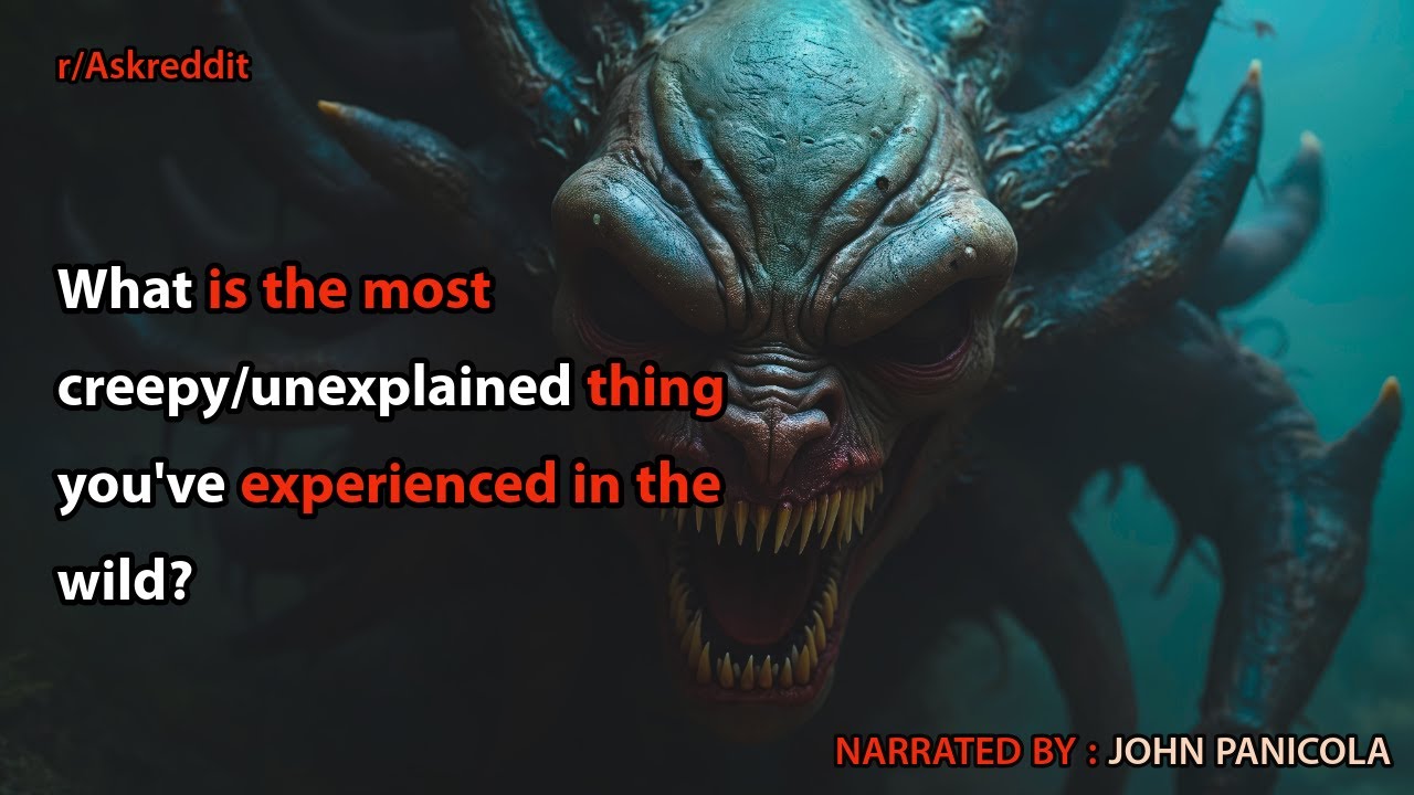 What is the most creepy/unexplained thing you've experienced in the wild?