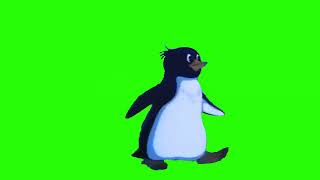 #green #footage #пингвин#хромакей
