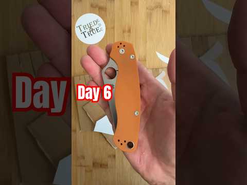 Retesting Day 6️⃣: Spyderco Paramilitary 2 Rex45   