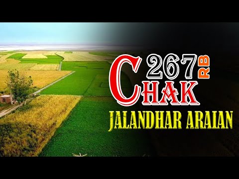 Chak 267 RB Jalandhar Araian, Faisalabad, Punjab | Jalandhar Araian 267 RB Pakistan | Indoz TV