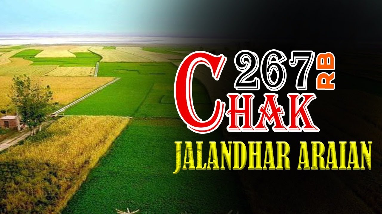 Chak 267 RB Jalandhar Araian, Faisalabad, Punjab | Jalandhar Araian 267 RB Pakistan | Indoz TV